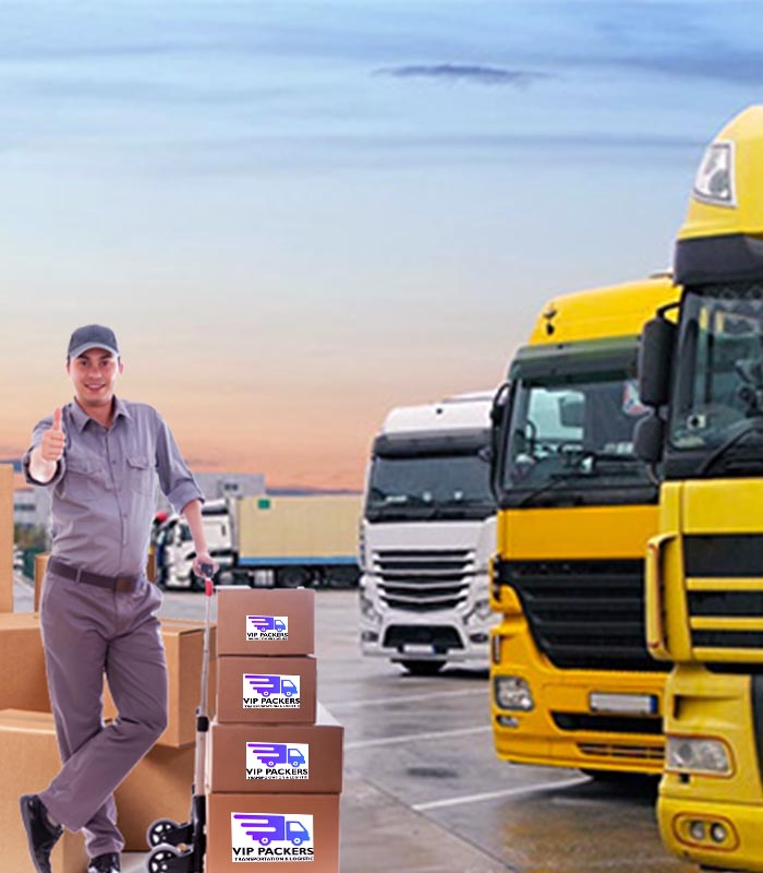 packers_movers_moradabad